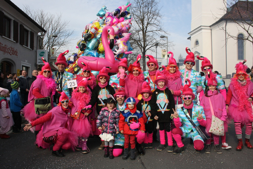 Lochauer Faschingsumzug FEB 2017 _38_.JPG