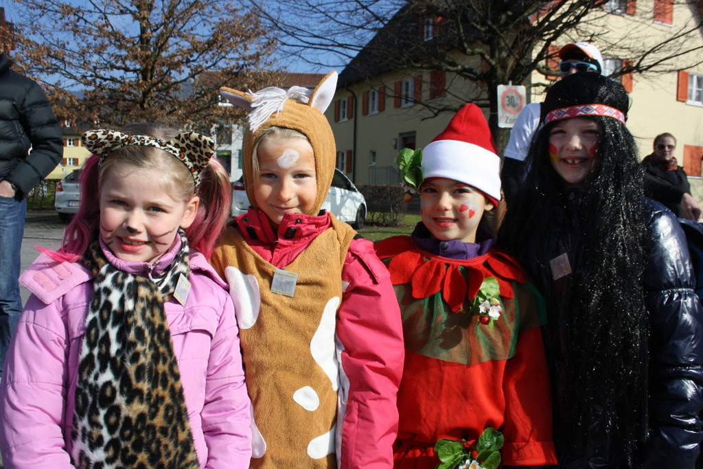 Lochauer Faschingsumzug FEB 2017 _98_.JPG