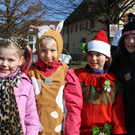 Lochauer Faschingsumzug FEB 2017 _98_.JPG