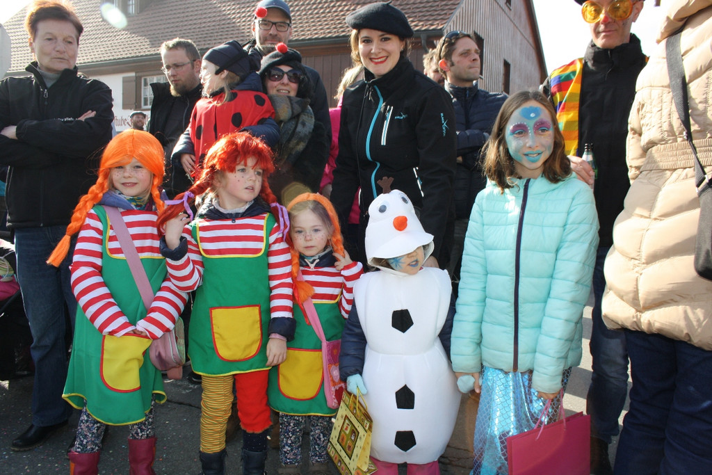 Lochauer Faschingsumzug FEB 2017 _107_.JPG
