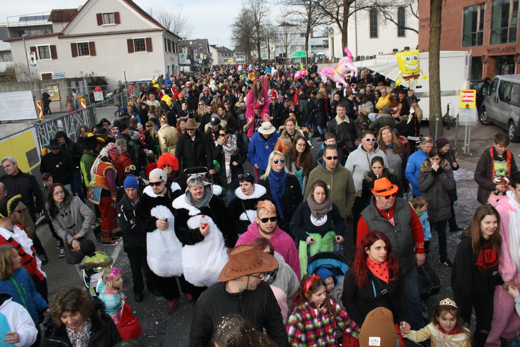 Lochauer Faschingsumzug FEB 2017 _116_.JPG
