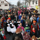 Lochauer Faschingsumzug FEB 2017 _116_.JPG