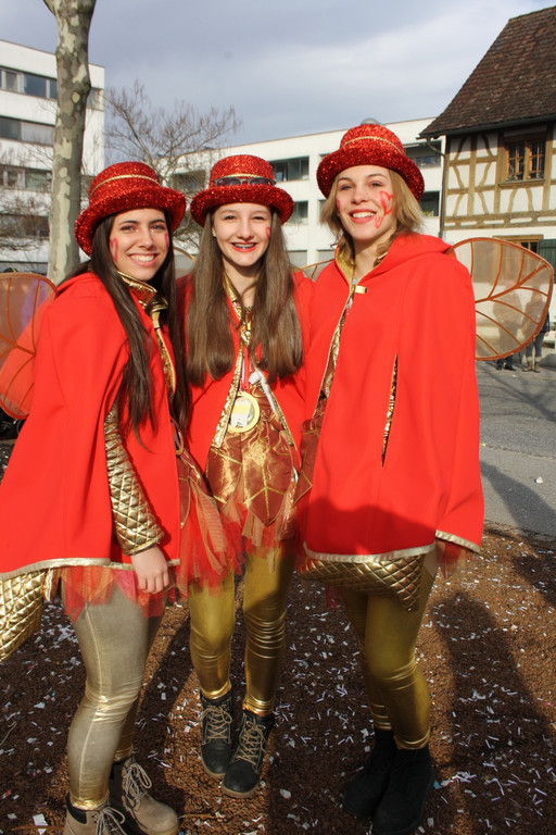 Lochauer Faschingsumzug FEB 2017 _123_.JPG