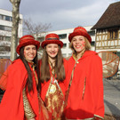 Lochauer Faschingsumzug FEB 2017 _123_.JPG