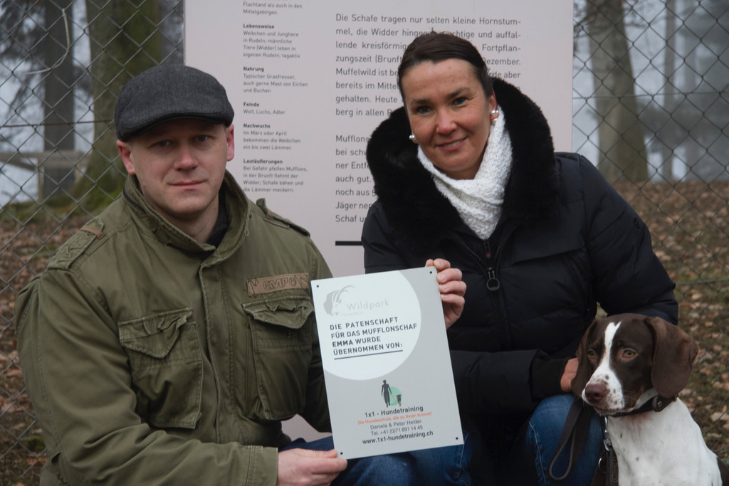KOE_Wildpark Tierpaten Mufflon 11.jpg