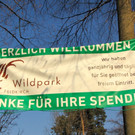 KOE_Wildpark Tierpaten Mufflon 13.jpg