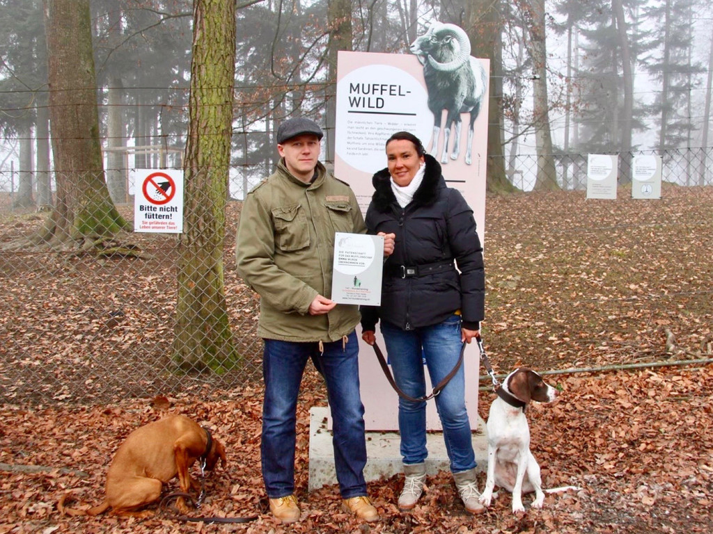 KOE_Wildpark Tierpaten Mufflon 21.jpg