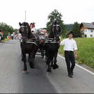 IMG_6479.JPG