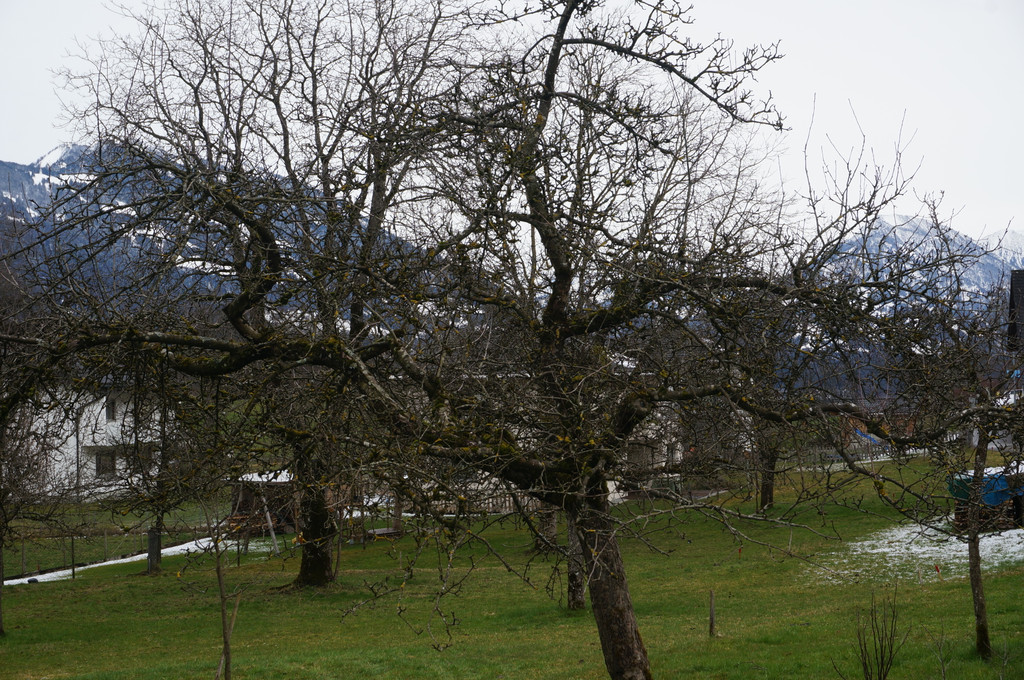 DSC04464.JPG