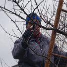 DSC04481.JPG