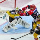 Vienna Capitals schafften Sieg gegen HC Innsbruck: Bilder vom Spiel