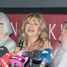 Goldie Hawn _54 von 94_.jpg