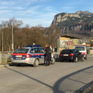 cobra-hohenems.jpg