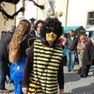 DSC_0003_JPG-1487867942.jpg