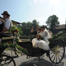normal_05072010hochzeitbauersuchtfibaktivnews__3_.jpg
