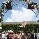 normal_05072010hochzeitbauersuchtfibaktivnews__41_.jpg