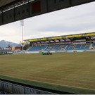 Hauptspielfeld in Altach in Topzustand