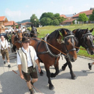 normal_05072010hochzeitbauersuchtfibaktivnews__6_.jpg