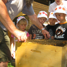 Gruppe_Bienen2.JPG