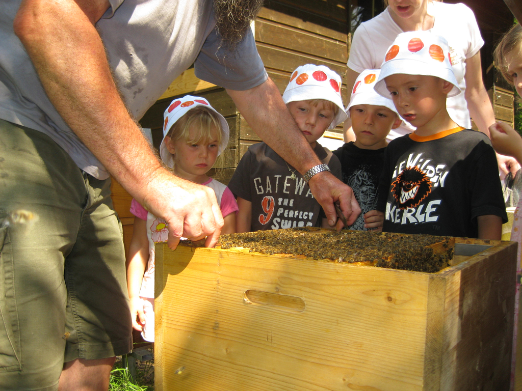 Gruppe_Bienen2.JPG