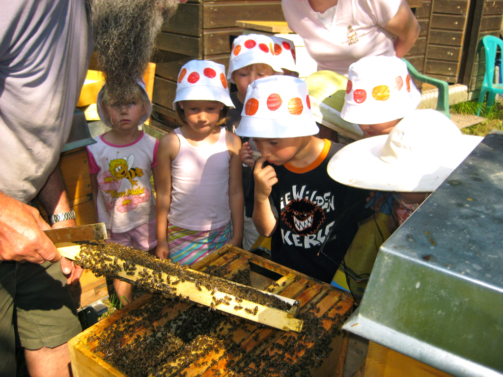 Gruppe_Bienen.JPG