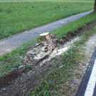 05072010b306rpaktivnews_20_16_.jpg