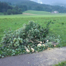 05072010b306rpaktivnews_20_17_.jpg