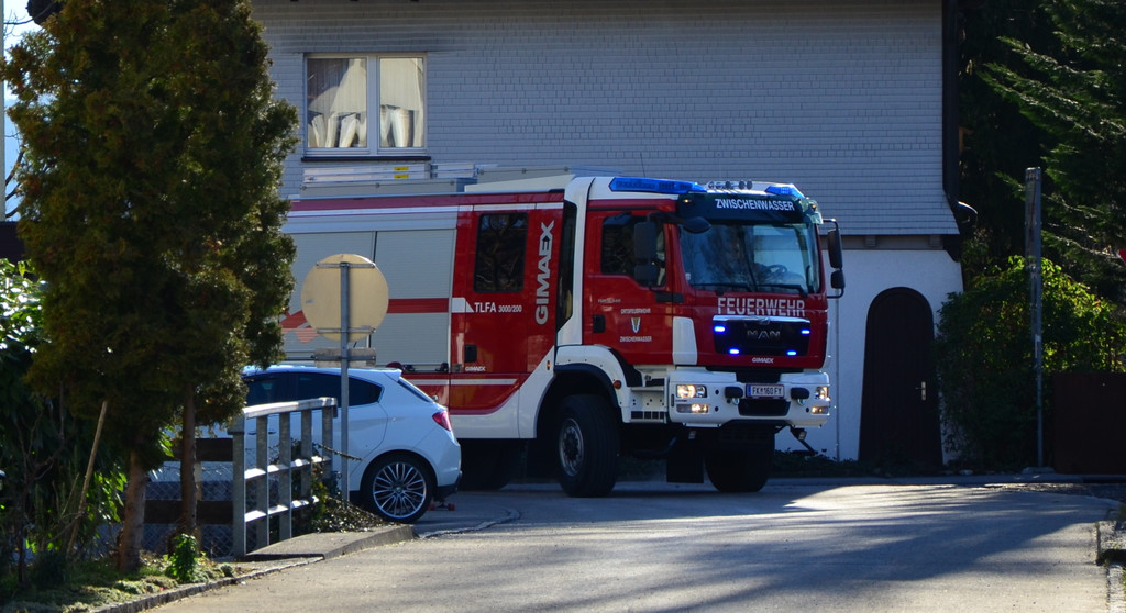 fw 250217_6.JPG