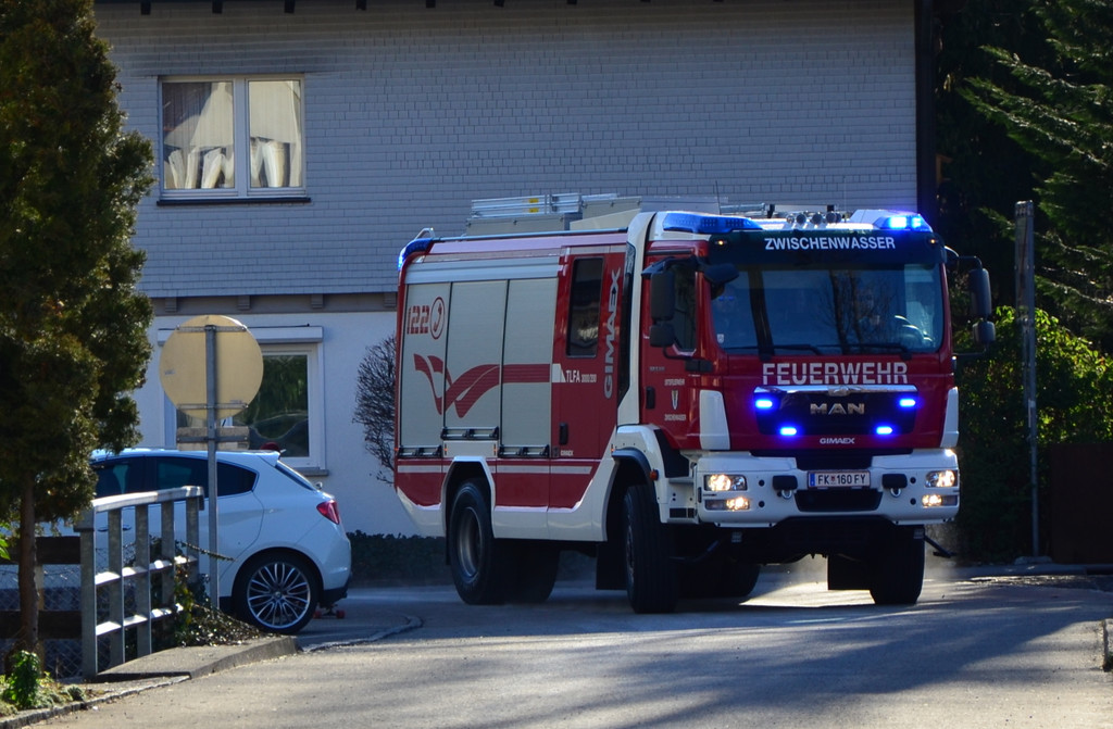 fw 250217_7.JPG