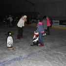 DSC_0041_JPG-1488098378.jpg