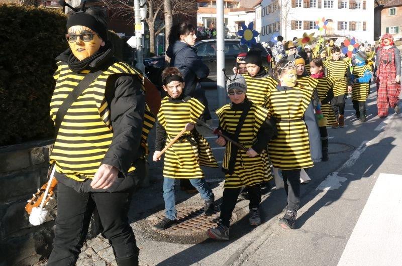 25_2_2017 Lingenauerfaschingumzug1.jpg
