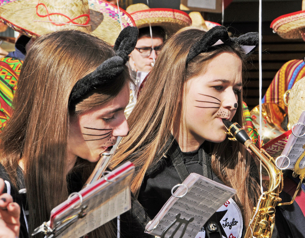 Fasching Fu__ach 2017 58.jpg
