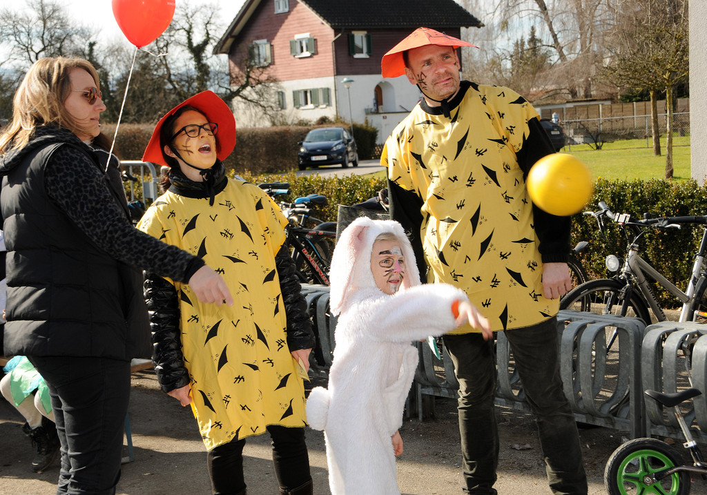 Fasching Fu__ach 2017 83.jpg