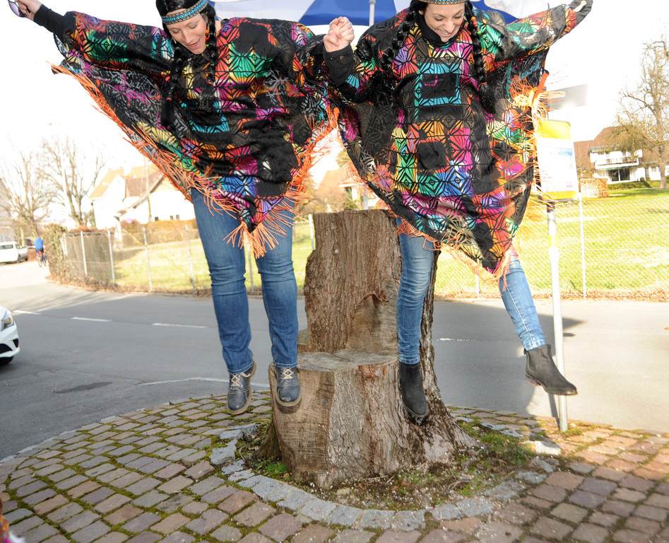 Fasching Fu__ach 2017 148.jpg