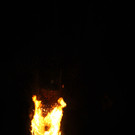 IMG_6882.jpg