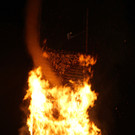 IMG_6883.jpg