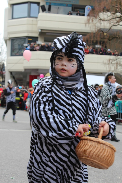 Umzug Bregenz 11.jpg