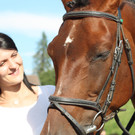 Liebhaber des Reitsports