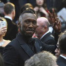 89th_Academy_Awards_-_Fan_Bleacher_Arrivals_61766.jpg