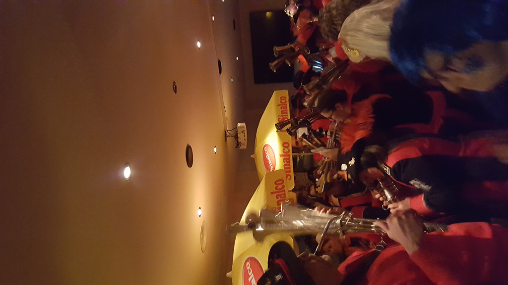 Austria Faschingsfest _2_.jpg