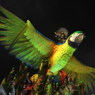 AFP_M41GD.jpg