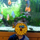 Faschingdienstag im Haus des Meeres 