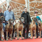 Haustiermesse 2017 - Marxhalle - 26_02_2017 _44 von 203_.jpg