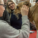 Haustiermesse 2017 - Marxhalle - 26_02_2017 _57 von 203_.jpg