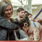 Haustiermesse 2017 - Marxhalle - 26_02_2017 _87 von 203_.jpg