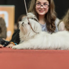 Haustiermesse 2017 - Marxhalle - 26.02.2017 Teil 2/2