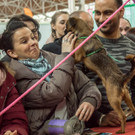 Haustiermesse 2017 - Marxhalle - 26_02_2017 _103 von 203_.jpg