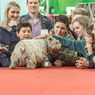 Haustiermesse 2017 - Marxhalle - 26_02_2017 _130 von 203_.jpg