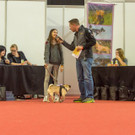 Haustiermesse 2017 - Marxhalle - 26_02_2017 _165 von 203_.jpg
