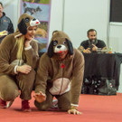 Haustiermesse 2017 - Marxhalle - 26_02_2017 _172 von 203_.jpg